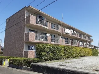 エルソーラの画像