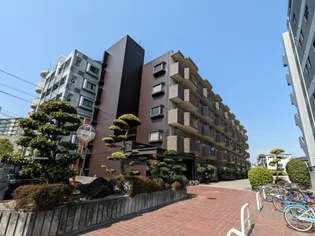 シャンボール長吉の画像