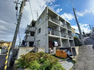 パレットの画像