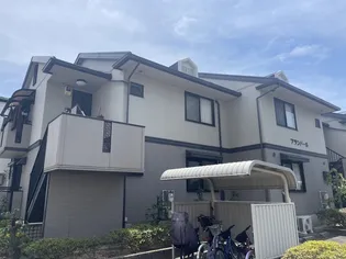 ブランドールの画像