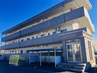 ブライトリー半田山【2階】の外観