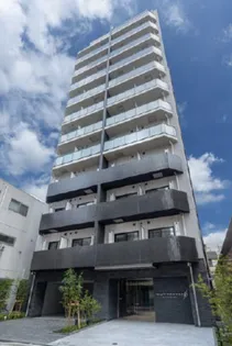 ESTRUTH SHINKOIWAの画像