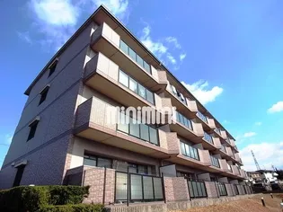 ル ミレニアムの画像