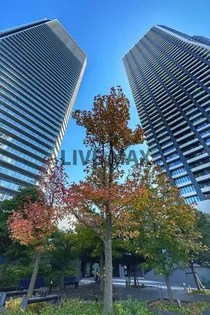 DEUX TOURS CANAL&SPA WESTの画像