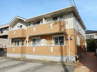 アンジュの画像