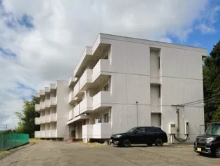 新潟NSプラザIN秋葉の画像