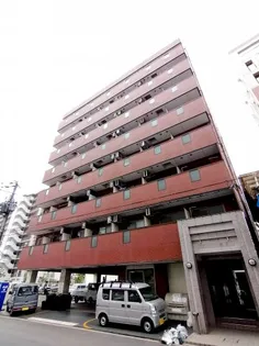 コート桜川の画像