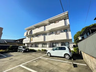セシールの画像
