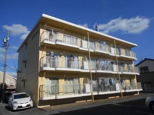 メロディー石垣の画像
