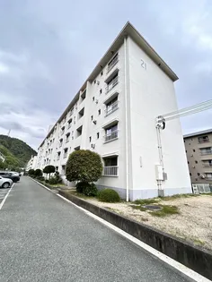鶴甲コーポ 1号棟 ー 棟の画像