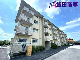 BIG ISLANDの画像