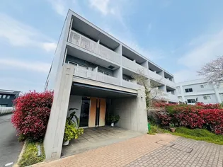 MーFLATの画像