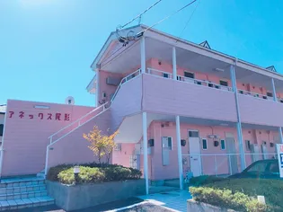 アネックス尾形【2階】の外観