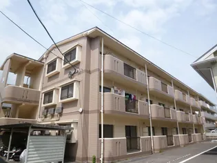 サンパティーク Dの画像