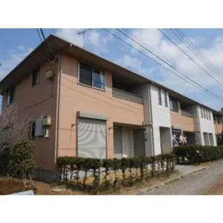 ベルリードMの画像