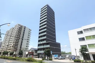 PINO SAKURAGAOKAの画像