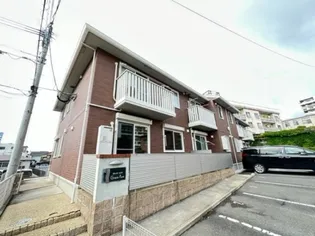 グレイス ピュアの画像