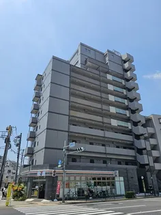 SASONの画像