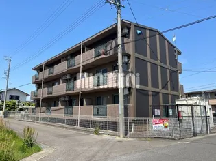 SAISON COURT NPの画像