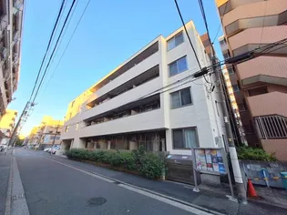 コート マグノリアの画像