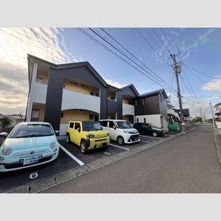 シャルール黒松の画像