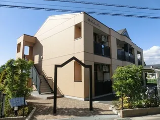 SOUTHERN CROSSの画像