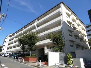 ゾンネンハイム大橋の画像