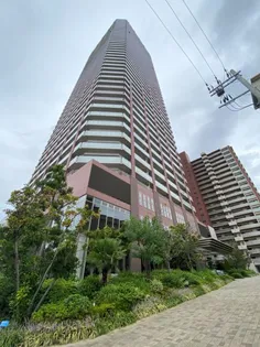 阿波座ライズタワーズフラッグ46の画像