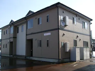 カモミールBの画像