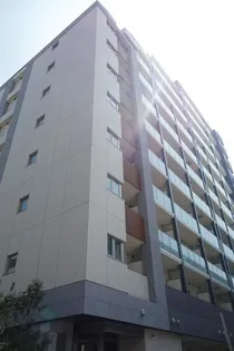 フレンシア菊川の画像