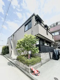 クリザンテムの画像