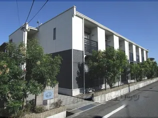 レオネクストセヴェルの画像