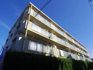 ジュノー ムカイの画像