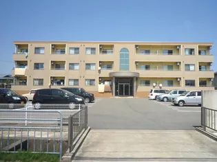 ポラリスの画像