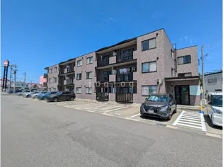 PEARL浜田の画像