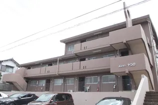 パピヨンヤシロの画像