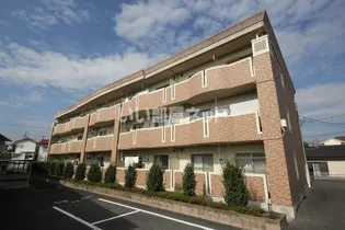 ゴールドグレイスIの画像