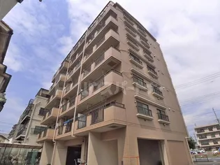 ロイヤルBINの画像