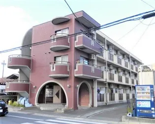 Maison de Raisin( メゾン・ド・レザン )【3階】の外観