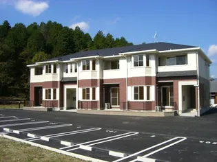 M GRACEの画像