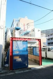 パフィオMSの画像