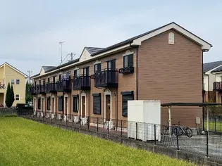 サザンクロスの画像