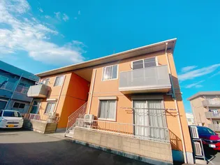 ラウンドパディの画像