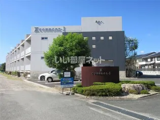 コモンズーIの画像