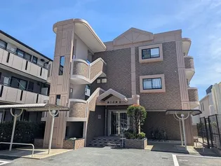 ありの実IIの画像