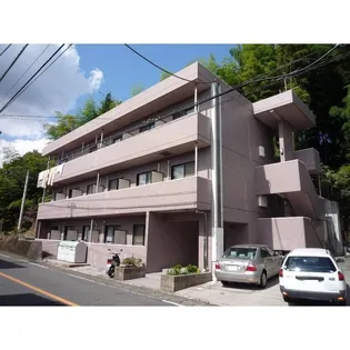 ベルバージェあざみの画像