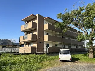 BAMBINO STELLA M&Kの画像