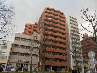 ライオンズマンション片平キャンパス【4階】の外観