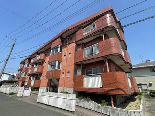 メゾン ド三軒橋の画像