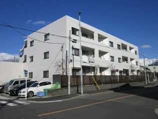 カーササクラの画像